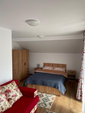 Casa Bunicilor Hotell Nucsoara  Exteriör bild